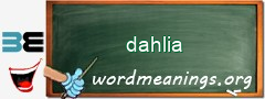 WordMeaning blackboard for dahlia